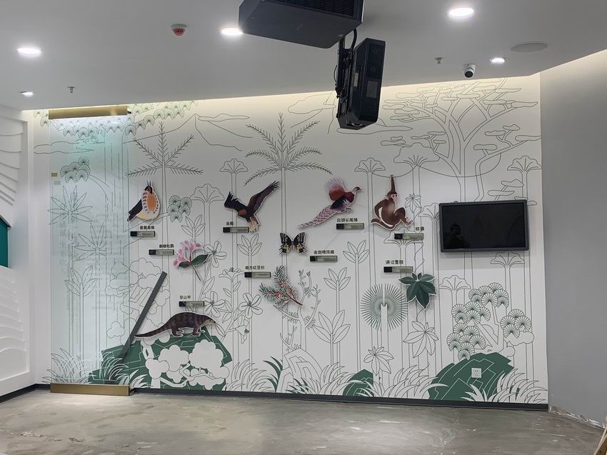 城市規劃，展覽展示